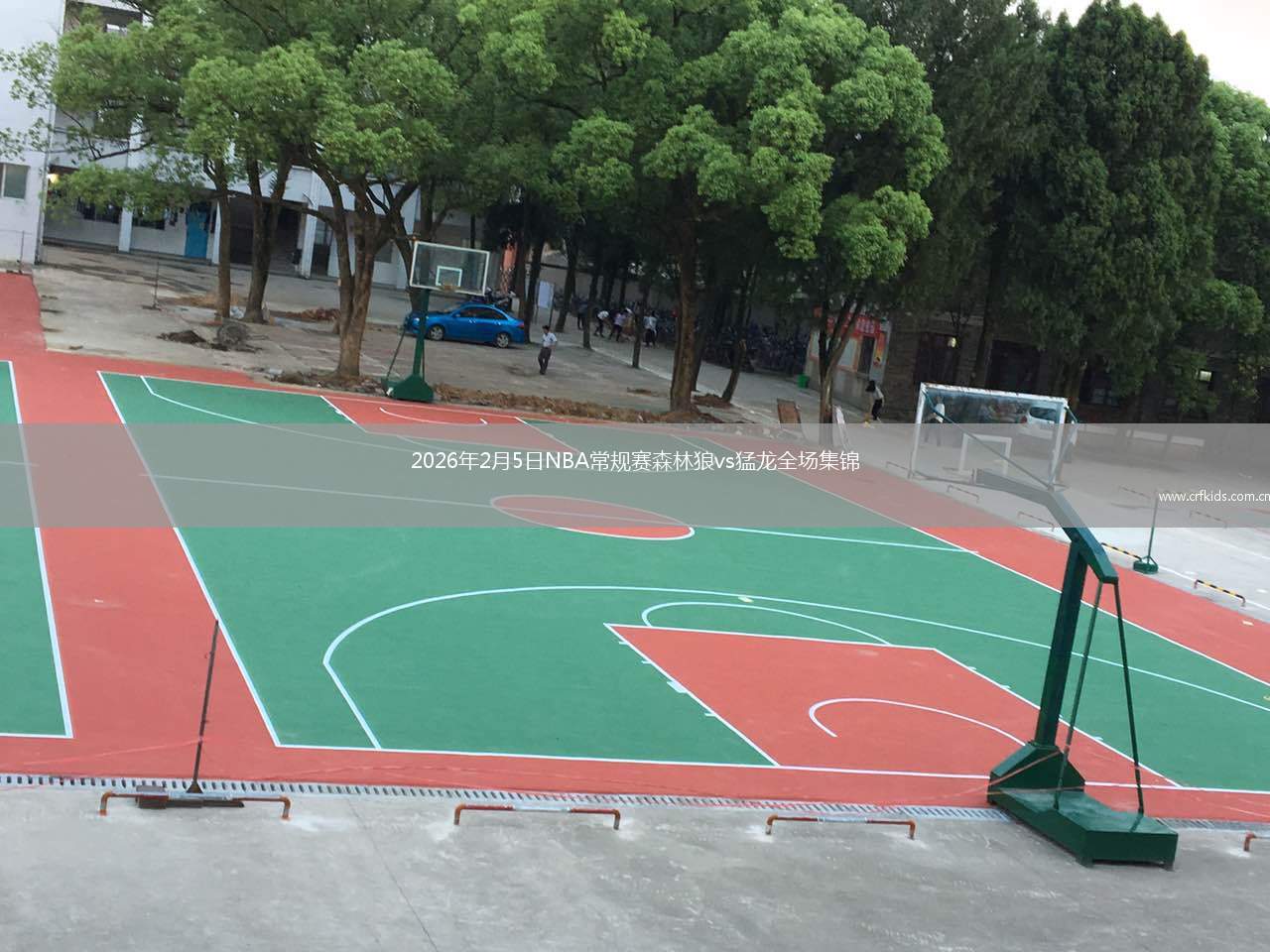 2026年2月5日NBA常规赛森林狼vs猛龙全场集锦