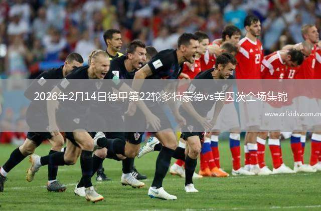 2026年2月14日德甲第22轮多特蒙德vs美因茨全场集锦
