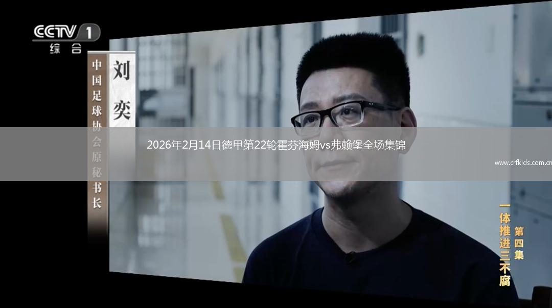 2026年2月14日德甲第22轮霍芬海姆vs弗赖堡全场集锦